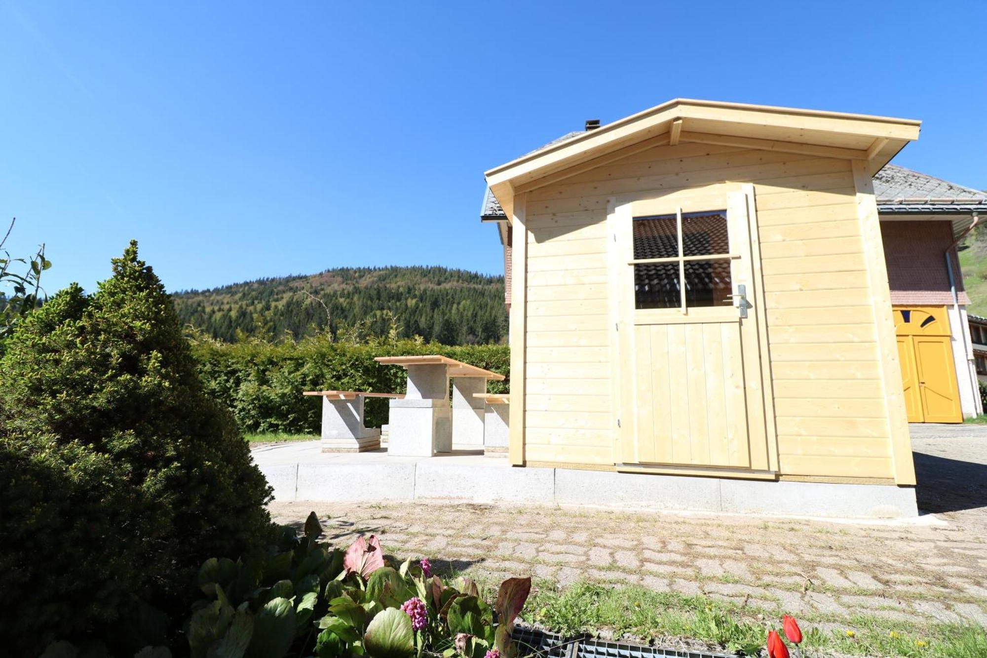 Fewo Schwarzwaldblick, 3 Schlafzimmer Todtnau-Muggenbrunn, Liftverbund Feldberg エクステリア 写真
