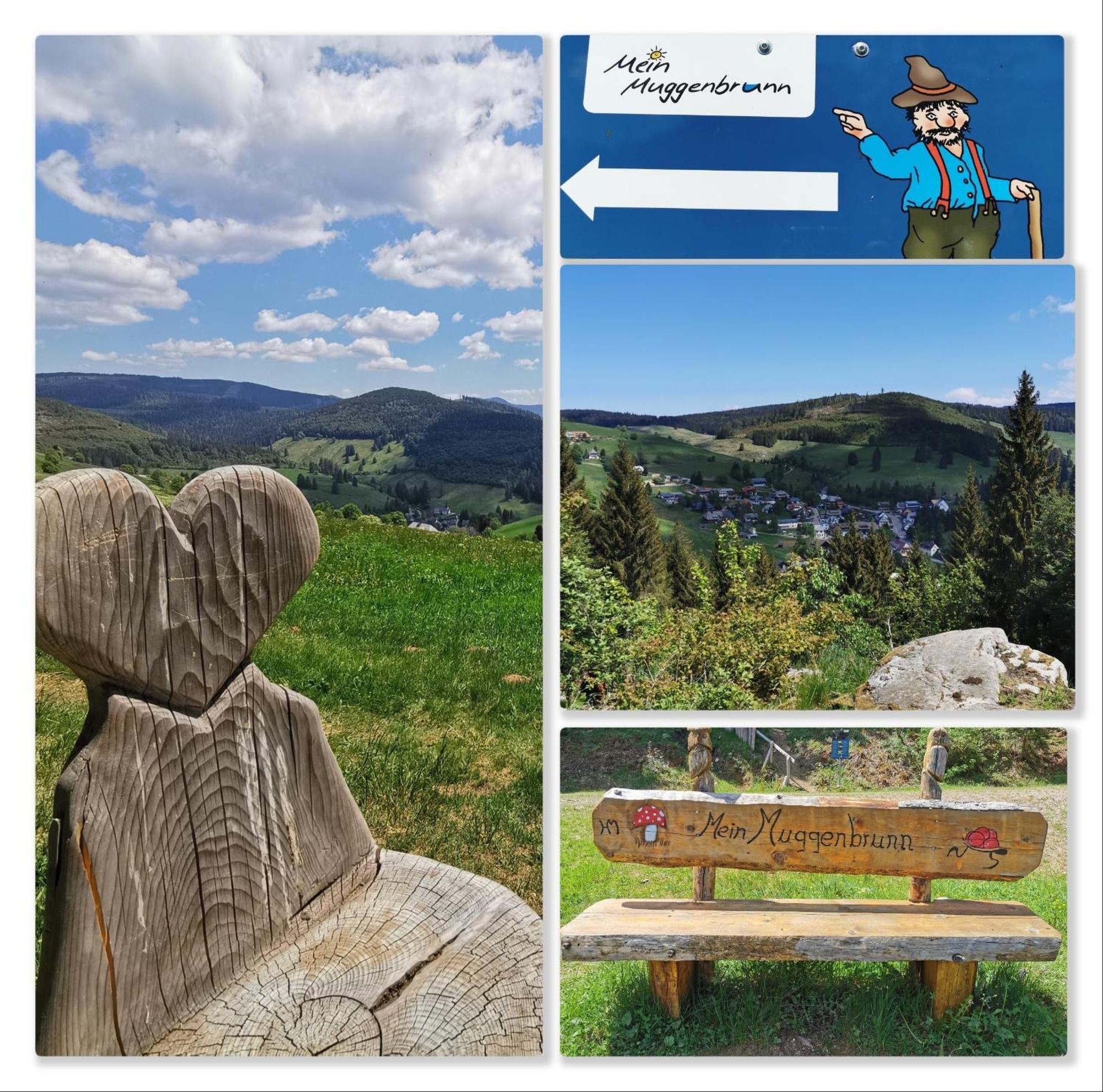 Fewo Schwarzwaldblick, 3 Schlafzimmer Todtnau-Muggenbrunn, Liftverbund Feldberg エクステリア 写真